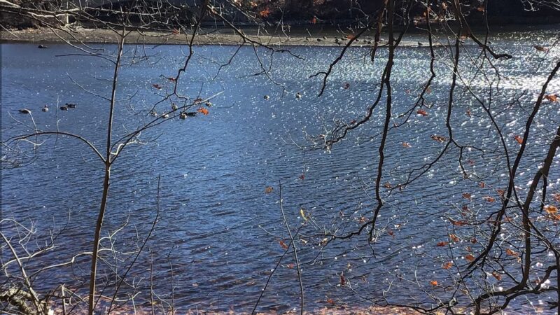 Southeast Veterans Park - Brewster, NY