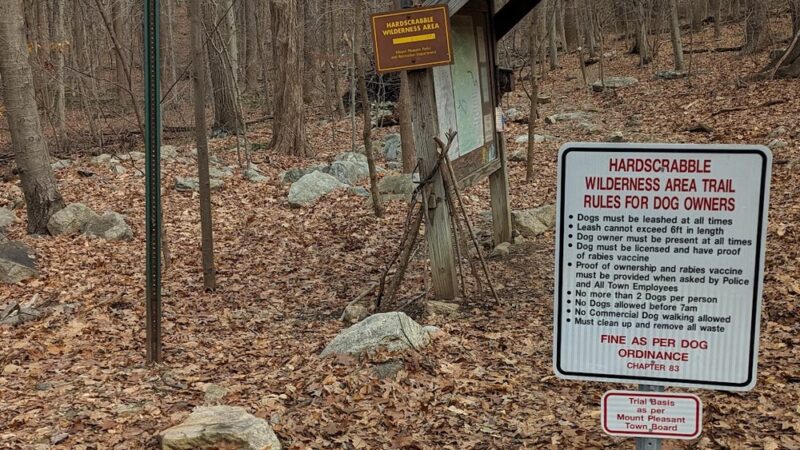 Hardscrabble Wilderness Area - Briarcliff Manor, NY