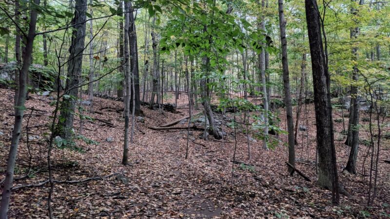 Hardscrabble Wilderness Area - Briarcliff Manor, NY