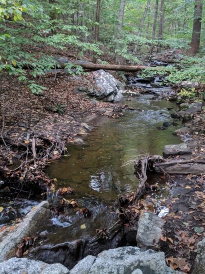 Hardscrabble Wilderness Area - Briarcliff Manor, NY