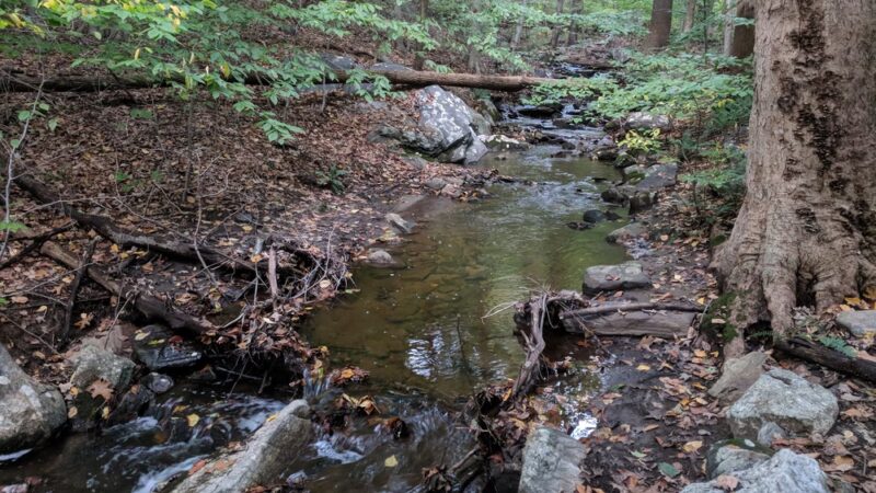 Hardscrabble Wilderness Area - Briarcliff Manor, NY