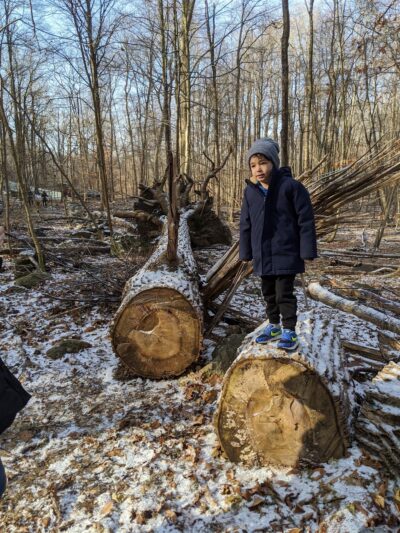 Hardscrabble Wilderness Area - Briarcliff Manor, NY