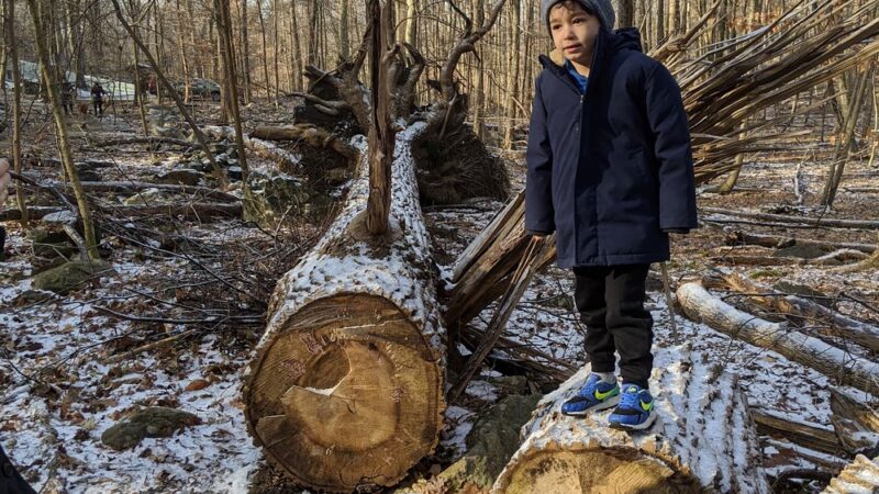 Hardscrabble Wilderness Area - Briarcliff Manor, NY