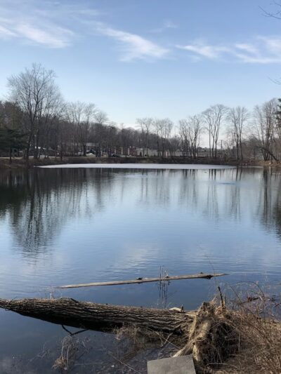 Richard G Wishnie Park - Briarcliff Manor, NY