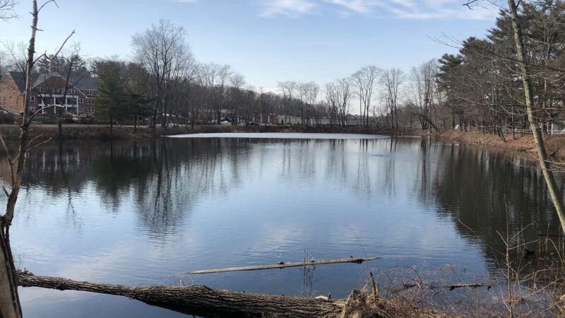 Richard G Wishnie Park - Briarcliff Manor, NY