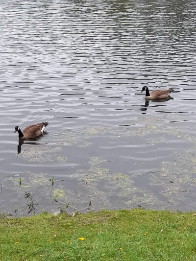 Richard G Wishnie Park - Briarcliff Manor, NY