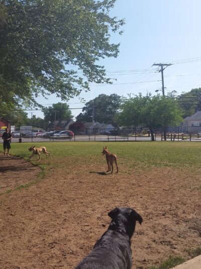 Angela Hibbard Park - Brick Township, NJ