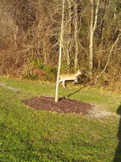 Herbertsville Park - Brick Township, NJ