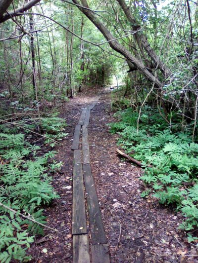 Riverwalk refuge - Brick Township, NJ