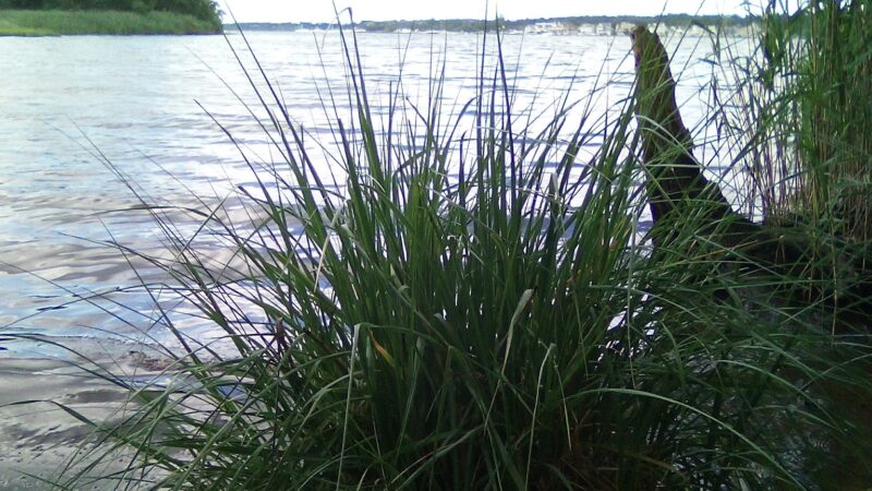 Riverwalk refuge - Brick Township, NJ