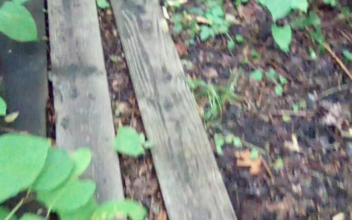 Riverwalk refuge - Brick Township, NJ