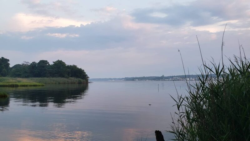 Riverwalk refuge - Brick Township, NJ