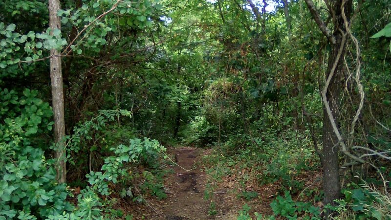 Riverwalk refuge - Brick Township, NJ
