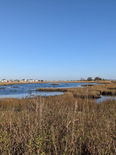 Seawood Harbor Bike Trail - Brick Township, NJ