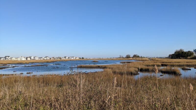 Seawood Harbor Bike Trail - Brick Township, NJ