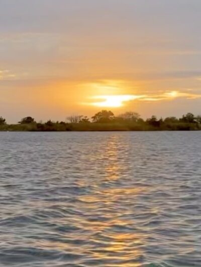 Swan Point State Natural Area - Brick Township, NJ