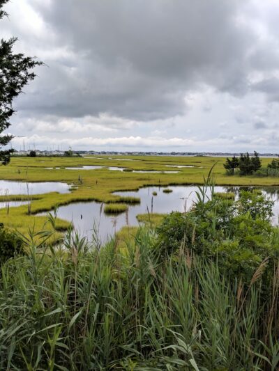 Swan Point State Natural Area - Brick Township, NJ