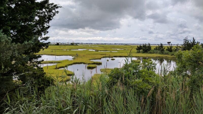 Swan Point State Natural Area - Brick Township, NJ