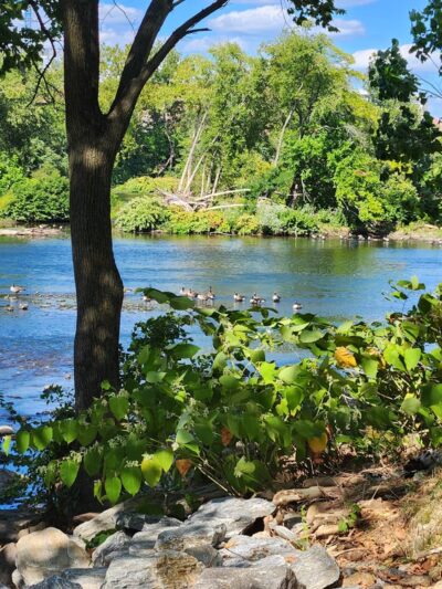 Rotondo Riverfront Park - Bridgeport, PA