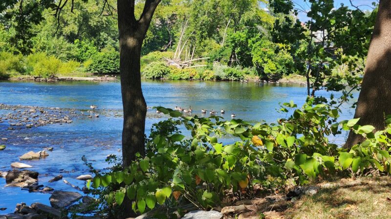 Rotondo Riverfront Park - Bridgeport, PA