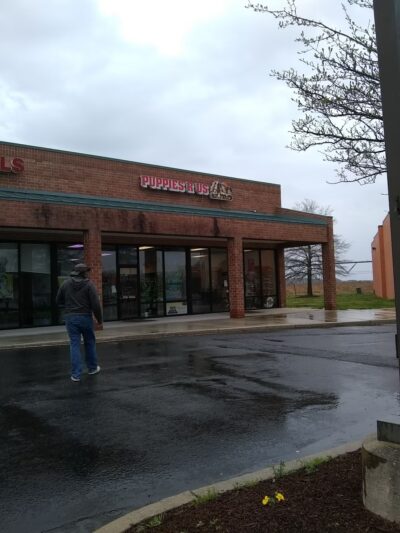 Puppies-R-Us - Bridgeville, DE
