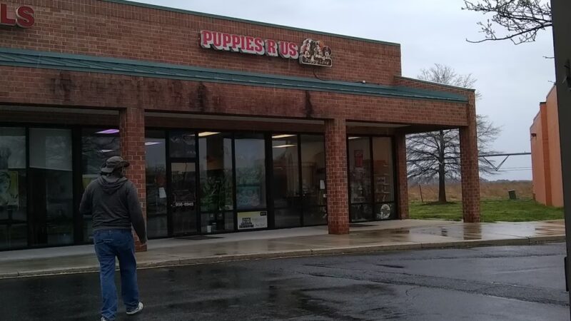 Puppies-R-Us - Bridgeville, DE