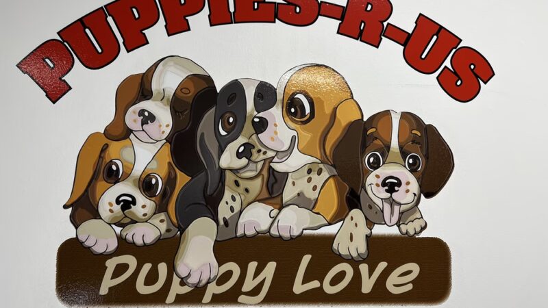 Puppies-R-Us - Bridgeville, DE