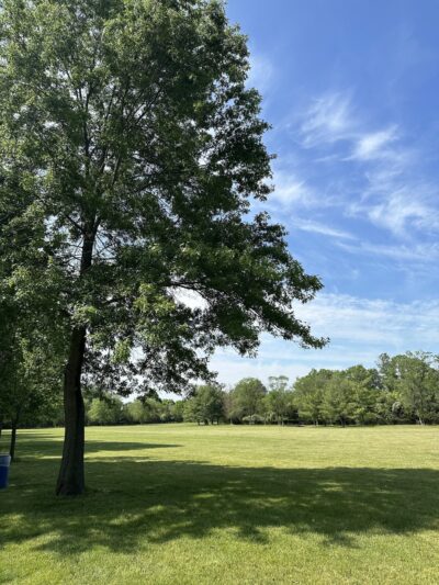 Alfred S. Brown Park - Bridgewater, NJ