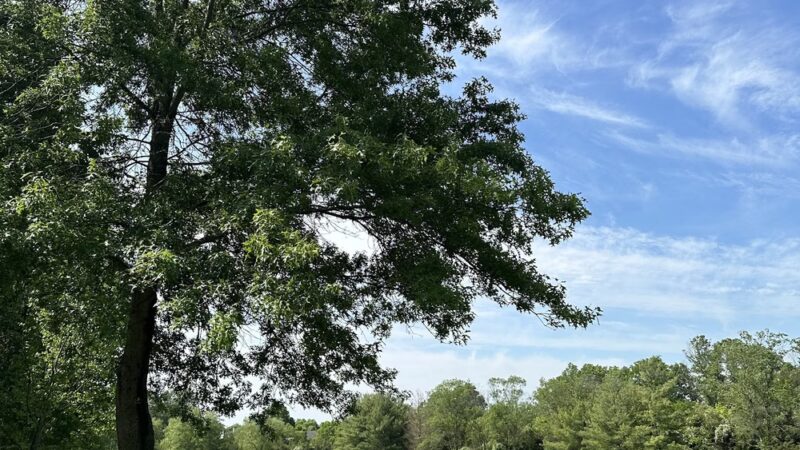 Alfred S. Brown Park - Bridgewater, NJ