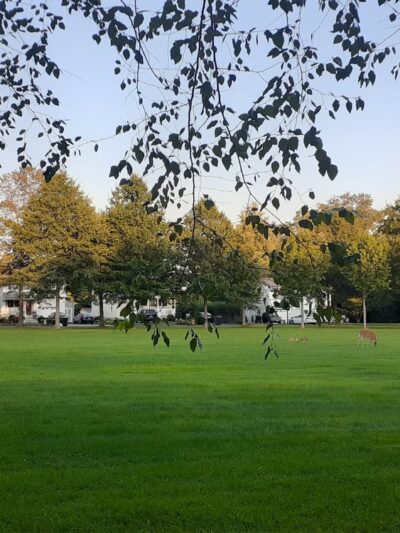 Alfred S. Brown Park - Bridgewater, NJ