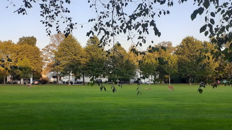 Alfred S. Brown Park - Bridgewater, NJ