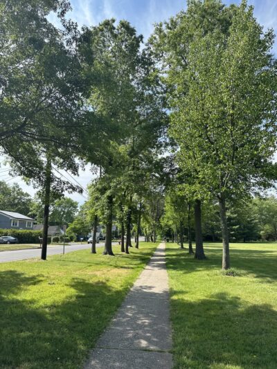 Alfred S. Brown Park - Bridgewater, NJ