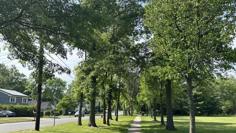 Alfred S. Brown Park - Bridgewater, NJ