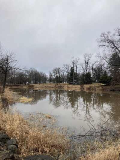 Ardmaer Park - Bridgewater, NJ