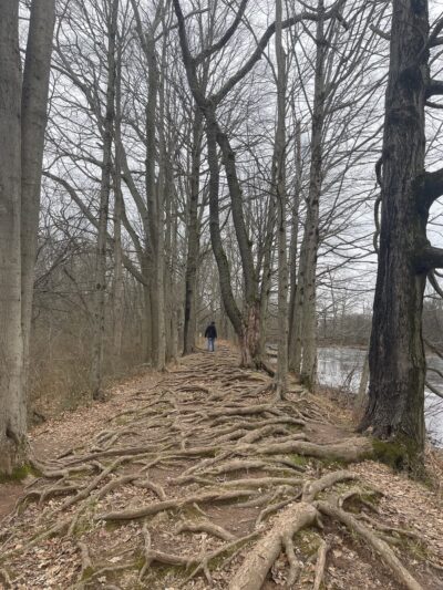 Duke Island Dam - Bridgewater, NJ