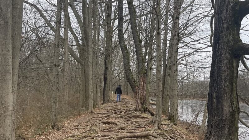 Duke Island Dam - Bridgewater, NJ