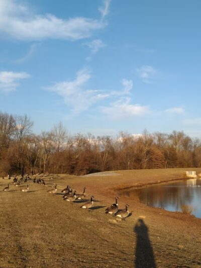 North Branch Greenway Park - Bridgewater, NJ