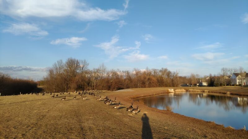 North Branch Greenway Park - Bridgewater, NJ