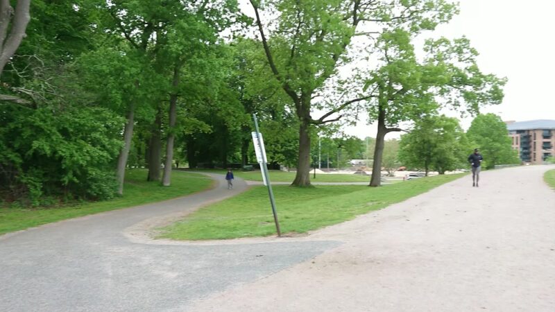 Chestnut Hill Reservation - Brighton, MA