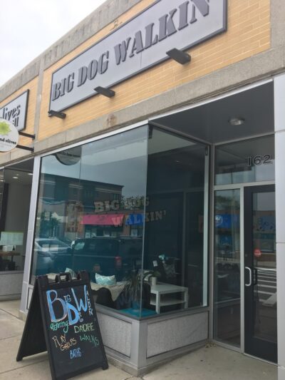 Big Dog Walkin' - Brighton, MA