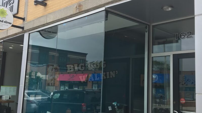 Big Dog Walkin' - Brighton, MA