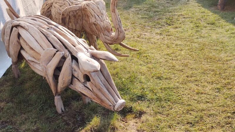 Brimfield Antique Flea Market & Shows - ,