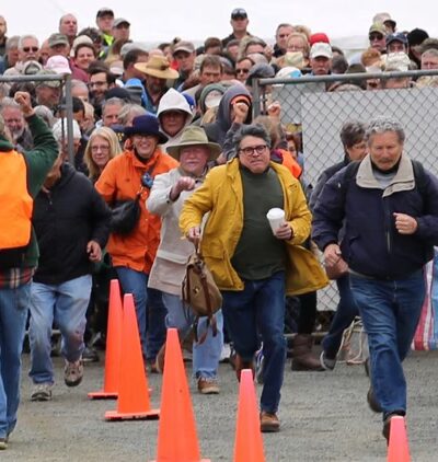 Brimfield Auction Acres - Brimfield, MA