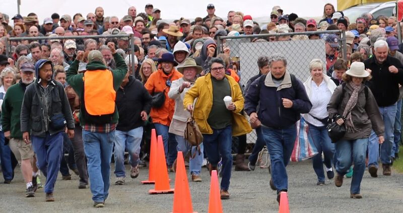 Brimfield Auction Acres - Brimfield, MA