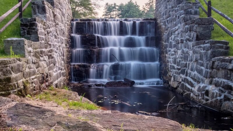 Brimfield State Forest - Brimfield, MA