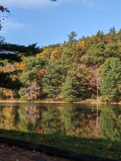 Brimfield State Forest - Brimfield, MA
