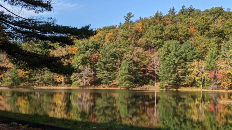 Brimfield State Forest - Brimfield, MA