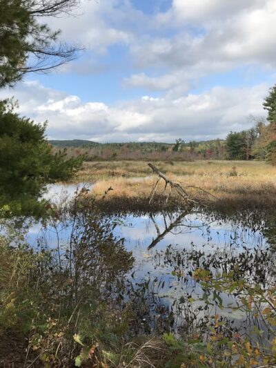 Brimfield Trail - Brimfield, MA