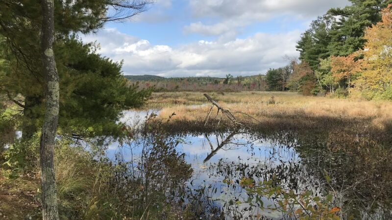 Brimfield Trail - Brimfield, MA