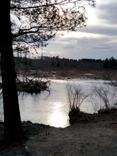 Brimfield Trail - Brimfield, MA